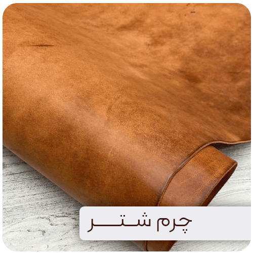 چرم شتر