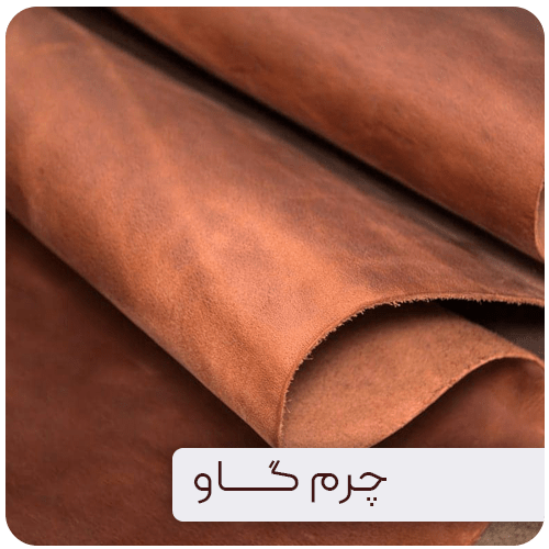 چرم گاو