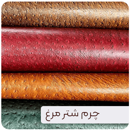 چرم شترمرغ
